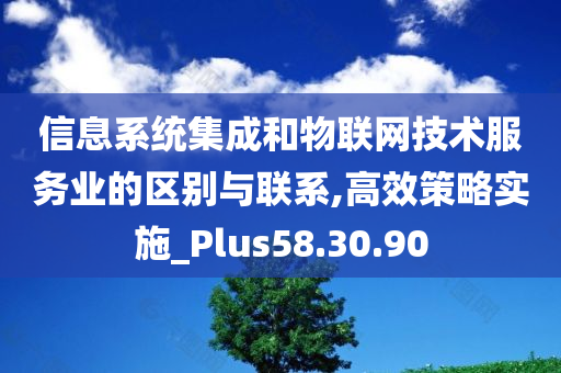 信息系统集成和物联网技术服务业的区别与联系,高效策略实施_Plus58.30.90