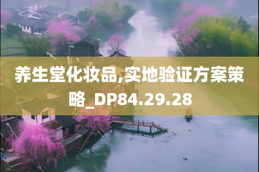 养生堂化妆品,实地验证方案策略_DP84.29.28