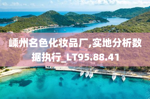 嵊州名色化妆品厂,实地分析数据执行_LT95.88.41