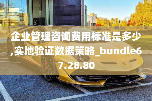 企业管理咨询费用标准是多少,实地验证数据策略_bundle67.28.80