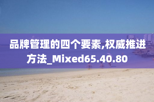 品牌管理的四个要素,权威推进方法_Mixed65.40.80