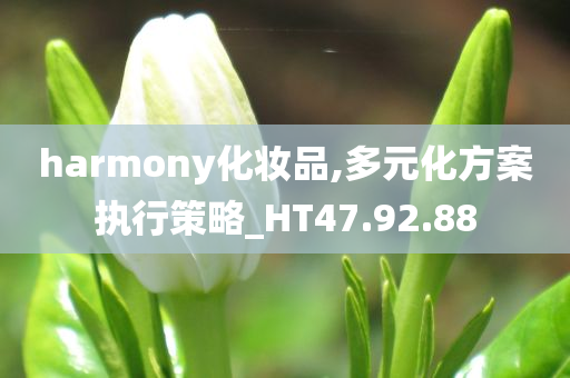 harmony化妆品,多元化方案执行策略_HT47.92.88