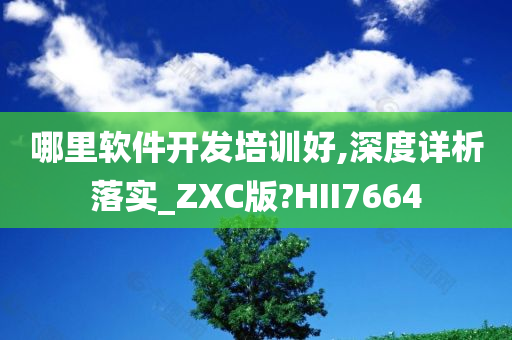 哪里软件开发培训好,深度详析落实_ZXC版?HII7664