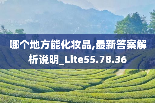 哪个地方能化妆品,最新答案解析说明_Lite55.78.36