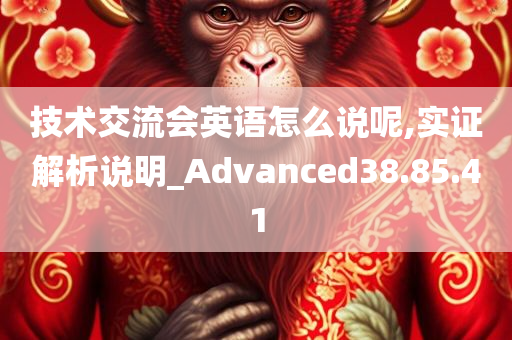 技术交流会英语怎么说呢,实证解析说明_Advanced38.85.41