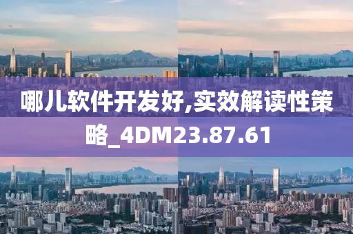 哪儿软件开发好,实效解读性策略_4DM23.87.61