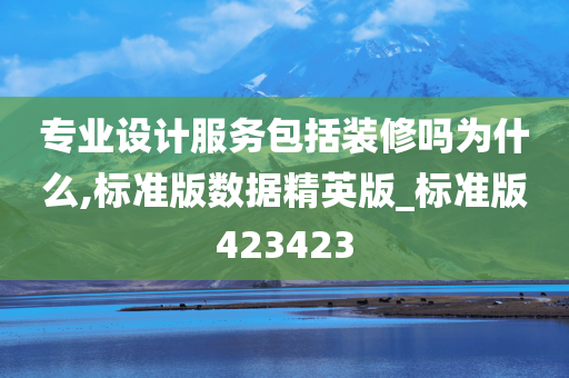 专业设计服务包括装修吗为什么,标准版数据精英版_标准版423423