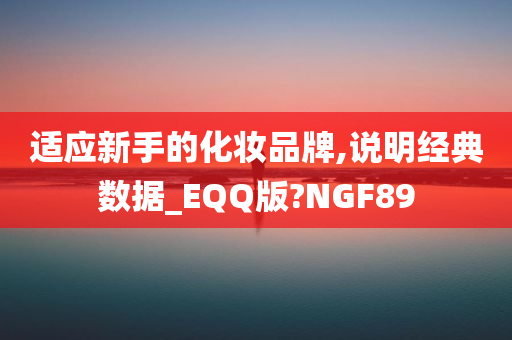 适应新手的化妆品牌,说明经典数据_EQQ版?NGF89