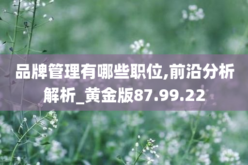 品牌管理有哪些职位,前沿分析解析_黄金版87.99.22