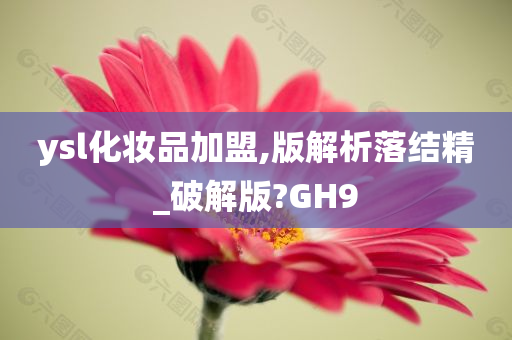 ysl化妆品加盟,版解析落结精_破解版?GH9