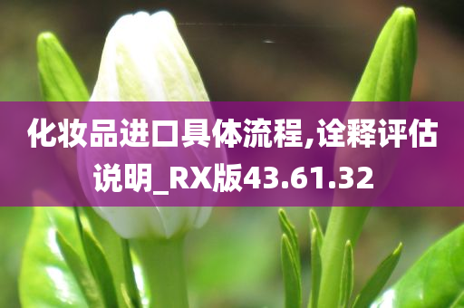 化妆品进口具体流程,诠释评估说明_RX版43.61.32