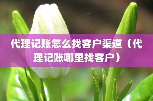 代理记账怎么找客户渠道（代理记账哪里找客户）