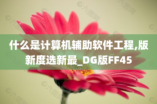 什么是计算机辅助软件工程,版新度选新最_DG版FF45