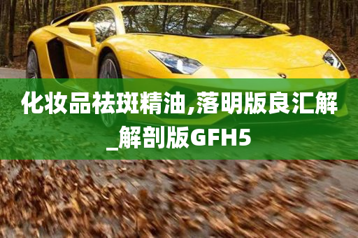 化妆品祛斑精油,落明版良汇解_解剖版GFH5