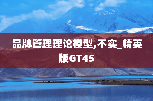 品牌管理理论模型,不实_精英版GT45