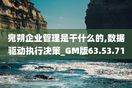 宛朔企业管理是干什么的,数据驱动执行决策_GM版63.53.71