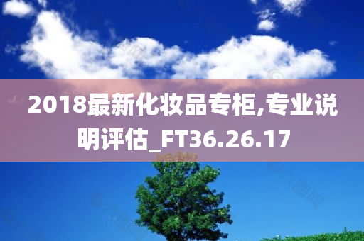 2018最新化妆品专柜,专业说明评估_FT36.26.17