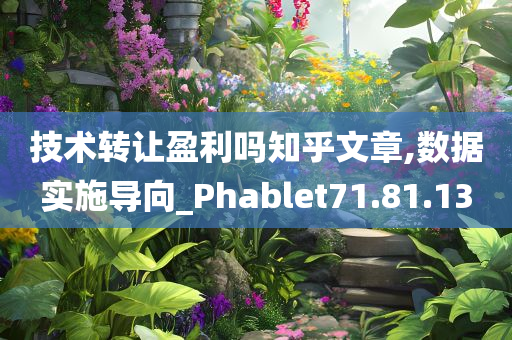 技术转让盈利吗知乎文章,数据实施导向_Phablet71.81.13