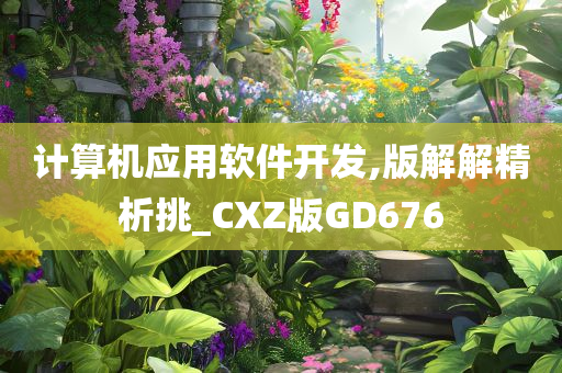 计算机应用软件开发,版解解精析挑_CXZ版GD676