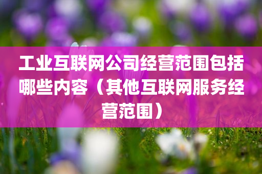 工业互联网公司经营范围包括哪些内容（其他互联网服务经营范围）