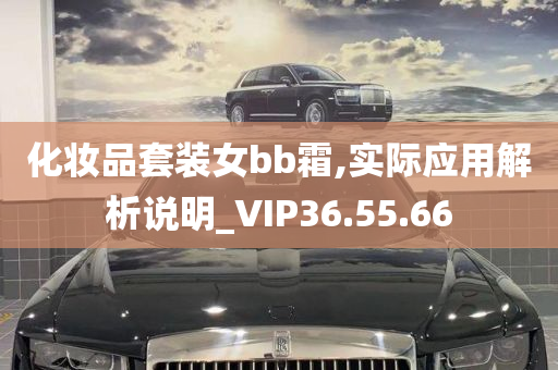 化妆品套装女bb霜,实际应用解析说明_VIP36.55.66