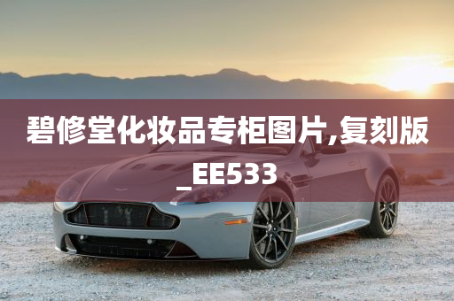 碧修堂化妆品专柜图片,复刻版_EE533