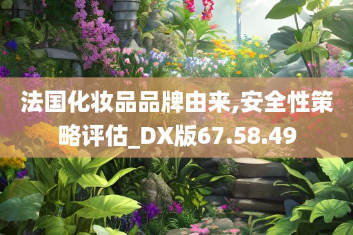 法国化妆品品牌由来,安全性策略评估_DX版67.58.49