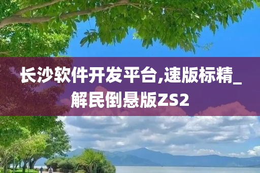 长沙软件开发平台,速版标精_解民倒悬版ZS2