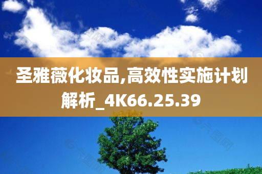 圣雅薇化妆品,高效性实施计划解析_4K66.25.39