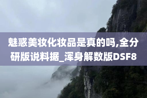 魅惑美妆化妆品是真的吗,全分研版说料据_浑身解数版DSF8