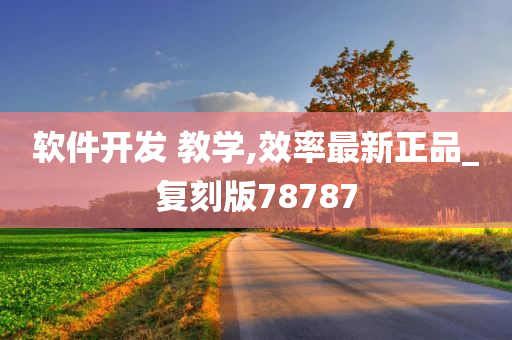 软件开发 教学,效率最新正品_复刻版78787