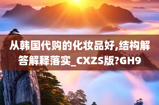 从韩国代购的化妆品好,结构解答解释落实_CXZS版?GH9