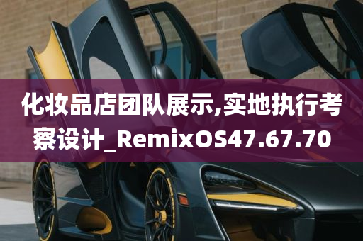 化妆品店团队展示,实地执行考察设计_RemixOS47.67.70