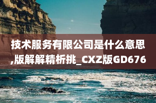 技术服务有限公司是什么意思,版解解精析挑_CXZ版GD676