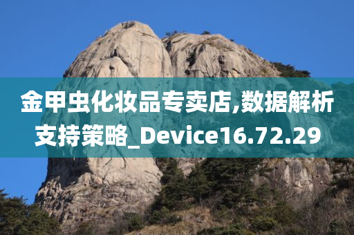 金甲虫化妆品专卖店,数据解析支持策略_Device16.72.29