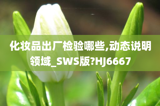 化妆品出厂检验哪些,动态说明领域_SWS版?HJ6667