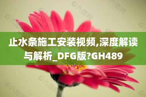 止水条施工安装视频,深度解读与解析_DFG版?GH489