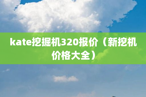 kate挖掘机320报价（新挖机价格大全）